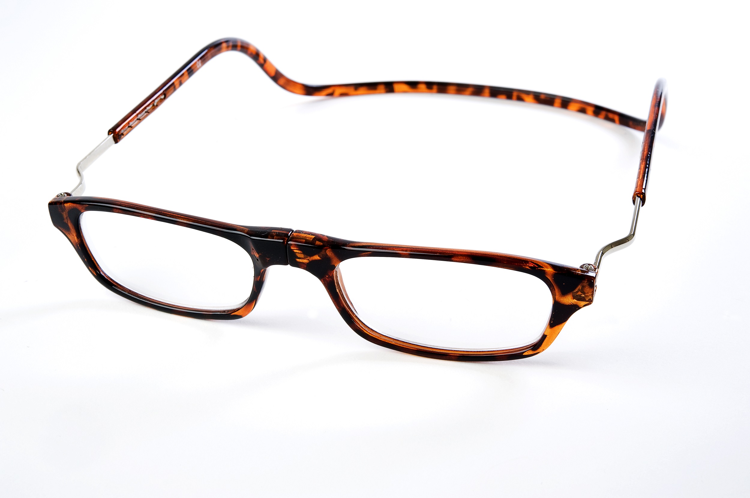 Easy Reader magneetleesbril leesbril met magneetsluiting Classic XL turtle