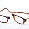 Easy Reader magneetleesbril leesbril met magneetsluiting Classic XL turtle
